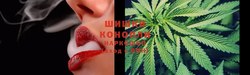 что такое наркотик  Кашин  Бошки марихуана OG Kush 